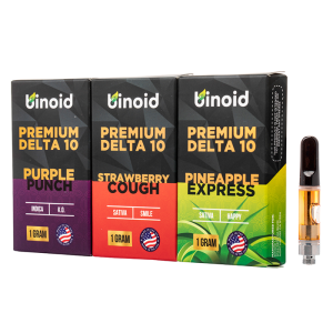 Binoid Delta-10 THC Vape Cartridge 1G