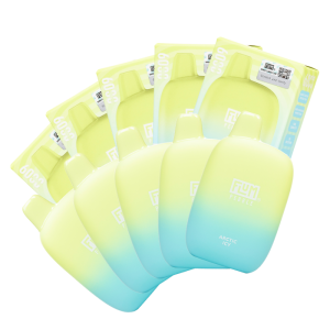 [10-Pack] Flum Pebble 6000 Disposable