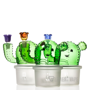 HEMPER Happy Cactus XL Bong