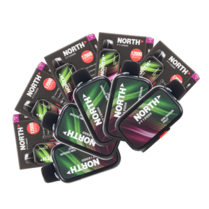 [10-Pack] North FT12000 Disposable