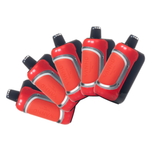 [5-Pack] VANMO VM60000 Disposable