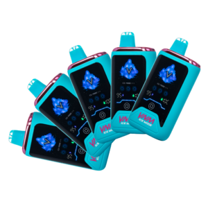 [5-Pack] VNM Ice 30K Disposable