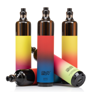 Big Boy MEGA Disposable Vape - 5000 Puffs