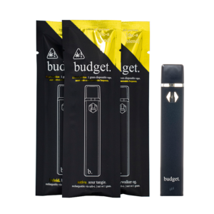 Budget THCA Blend Disposable 1G