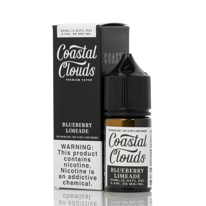 Saltwater Blueberry Limeade - Coastal Clouds Co. - 30mL