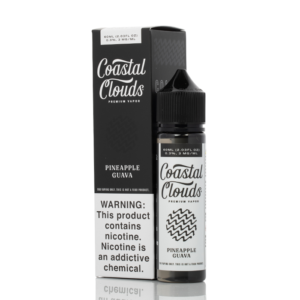 Pineapple Guava - Coastal Clouds Co. - 60mL