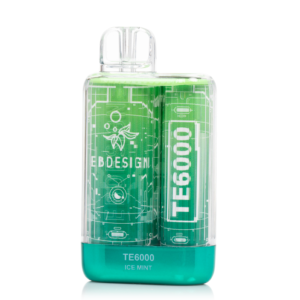 EB TE6000 Menthol Disposable