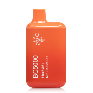 BC5000 Menthol Disposable