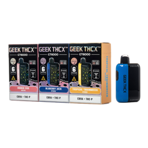 Geek THCX GT6000 Disposable 6G