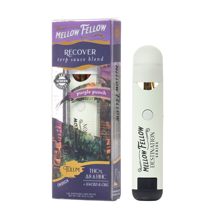 Mellow Fellow Tulum Recover Terp Sauce Blend Disposable 2G