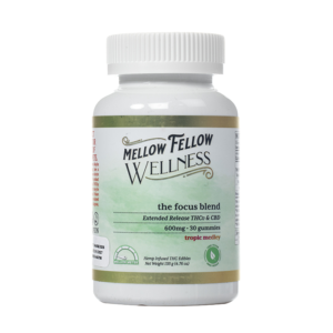 Mellow Fellow Wellness Focus Blend Gummies 600mg