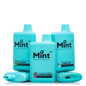 Mint Vapor 6500 Disposable