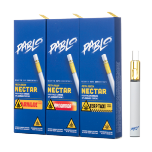 Pablo Delta 9 AIO Disposable 1G