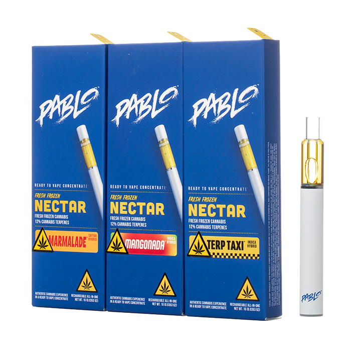 Pablo Delta 9 AIO Disposable 1G