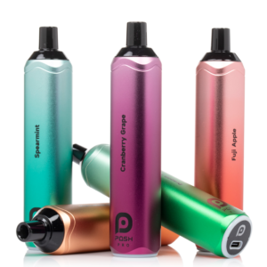 Posh Pro 5500 Disposable
