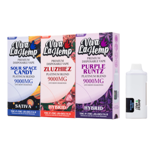 Viva La Hemp Platinum Blend Disposable 9G