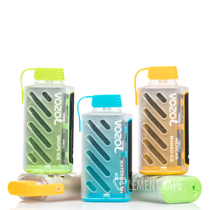VOZOL Gear Power 20000 Disposable