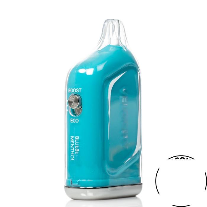 VELO Nicotine Pouches - CINNAMON